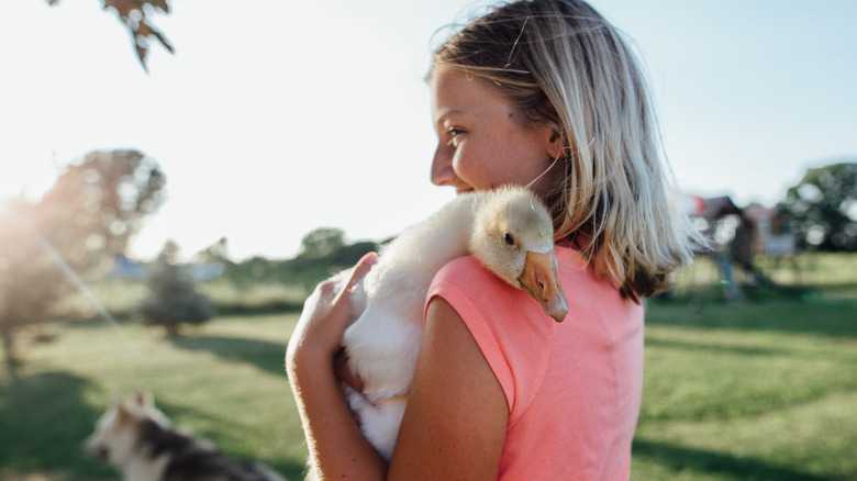 Everything To Know Before Adopting A Duck As A Pet